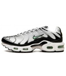 Кроссовки Nike Air Max TN Plus Silver - 322