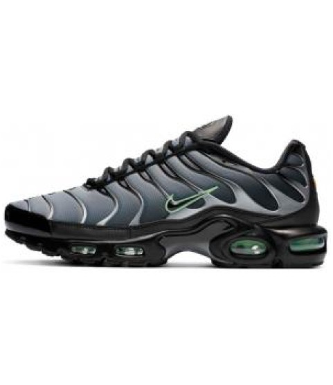 Кроссовки Nike Air Max Plus Particle Grey - 346