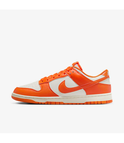 Nike Dunk Low Retro - 111